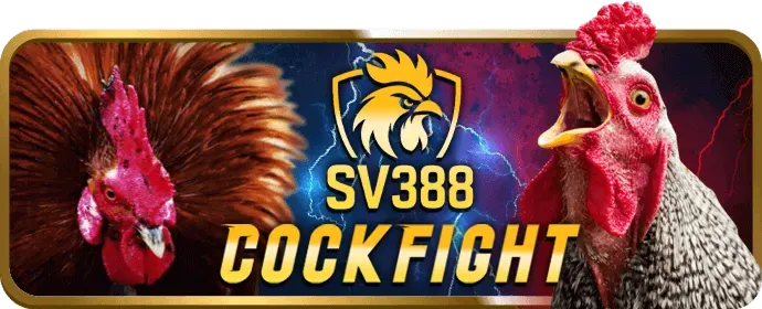 Minh họa quy trình đăng ký tài khoản Onebet88